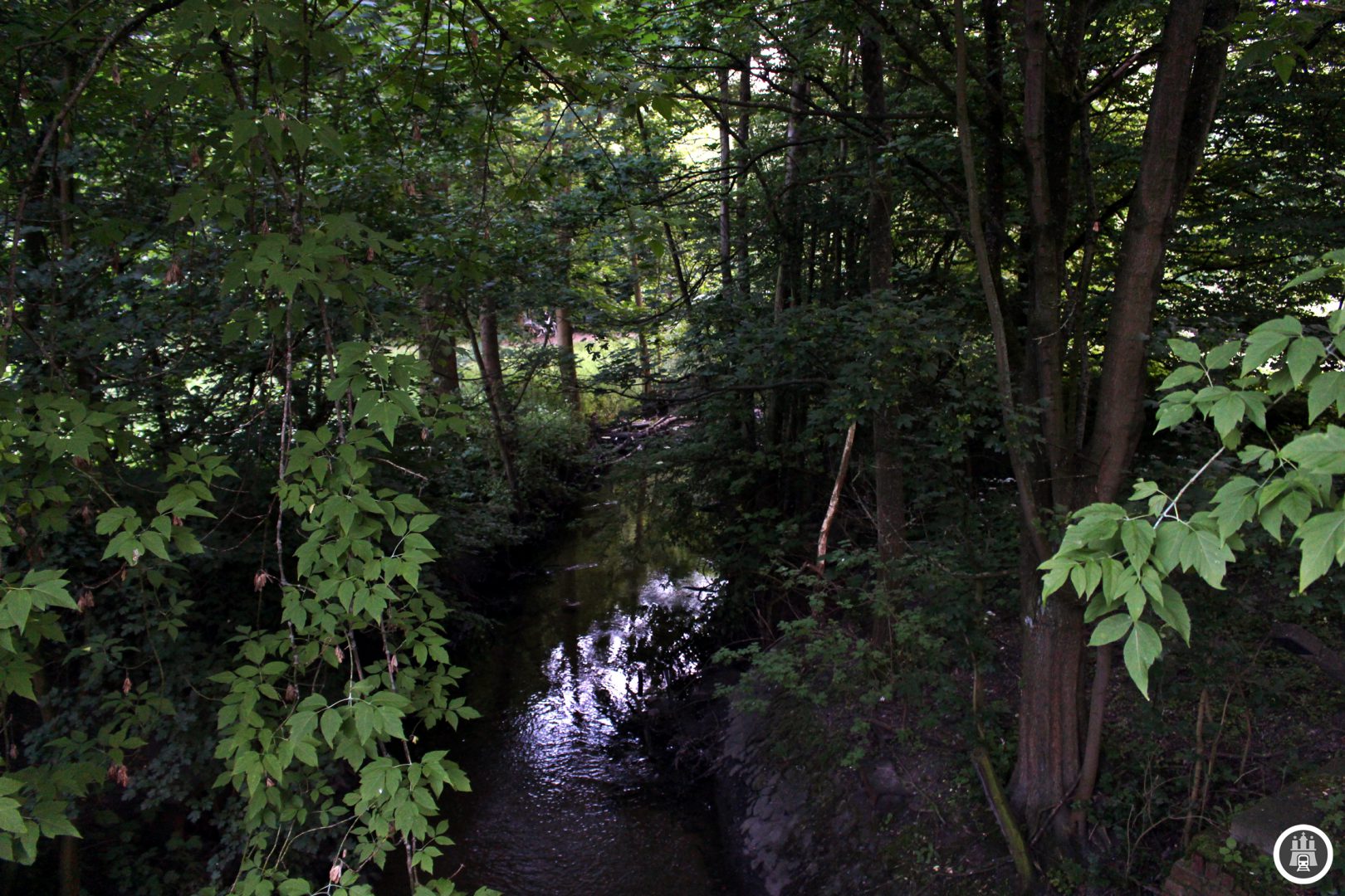 Der Schleemer Bach ist etwa 10 Kilometer lang und führt von Rahlstedt in die Bille, dabei fließt dieser in den und anschließend aus dem Öjendorfer See, nördlich der Kreuzung befindet sich der Schleemer Teich, an dem sich einst eine Mühle befand.