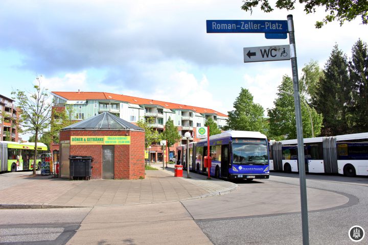 Zwanzig jüdische Kinder wurden im KZ Neuengammen Menschenversuchen unter größten Qualen unterzogen. Als die britischen Truppen bereits in Hambrg waren, wurden diese im Keller der Schule am Bullenhuser Damm umgebracht. Die Leichen wurden nicht gefunden und wuren wahrscheinlich im KZ Neuengamme verbrannt.