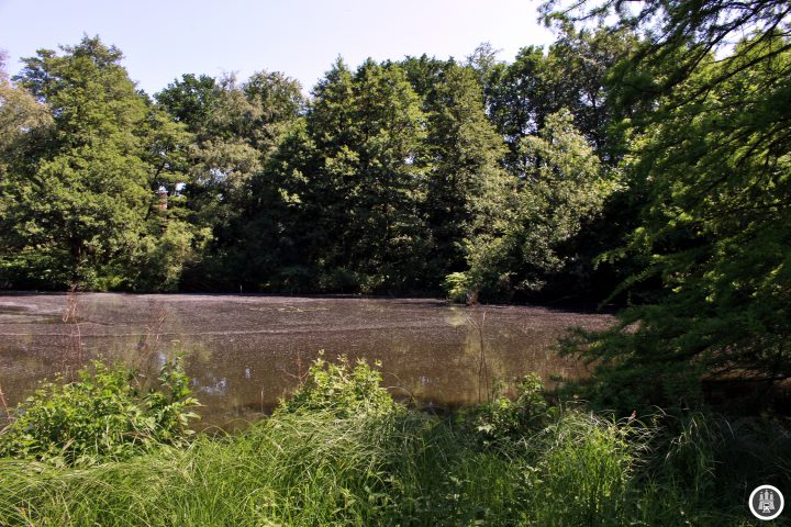 Der Eichtalpark wurde 1926 von einem Lederfabrikanten als Wandsbeker Stadtpark eröffnet. Eine ehemalige als Ölmühle genutzte Wassermühle wurde 1928 in ein Restaurant umgewandelt, es existiert heute noch, jedoch wurde das Mühlenrad 1930 entfernt. Durch den Park fließt die Wandse.